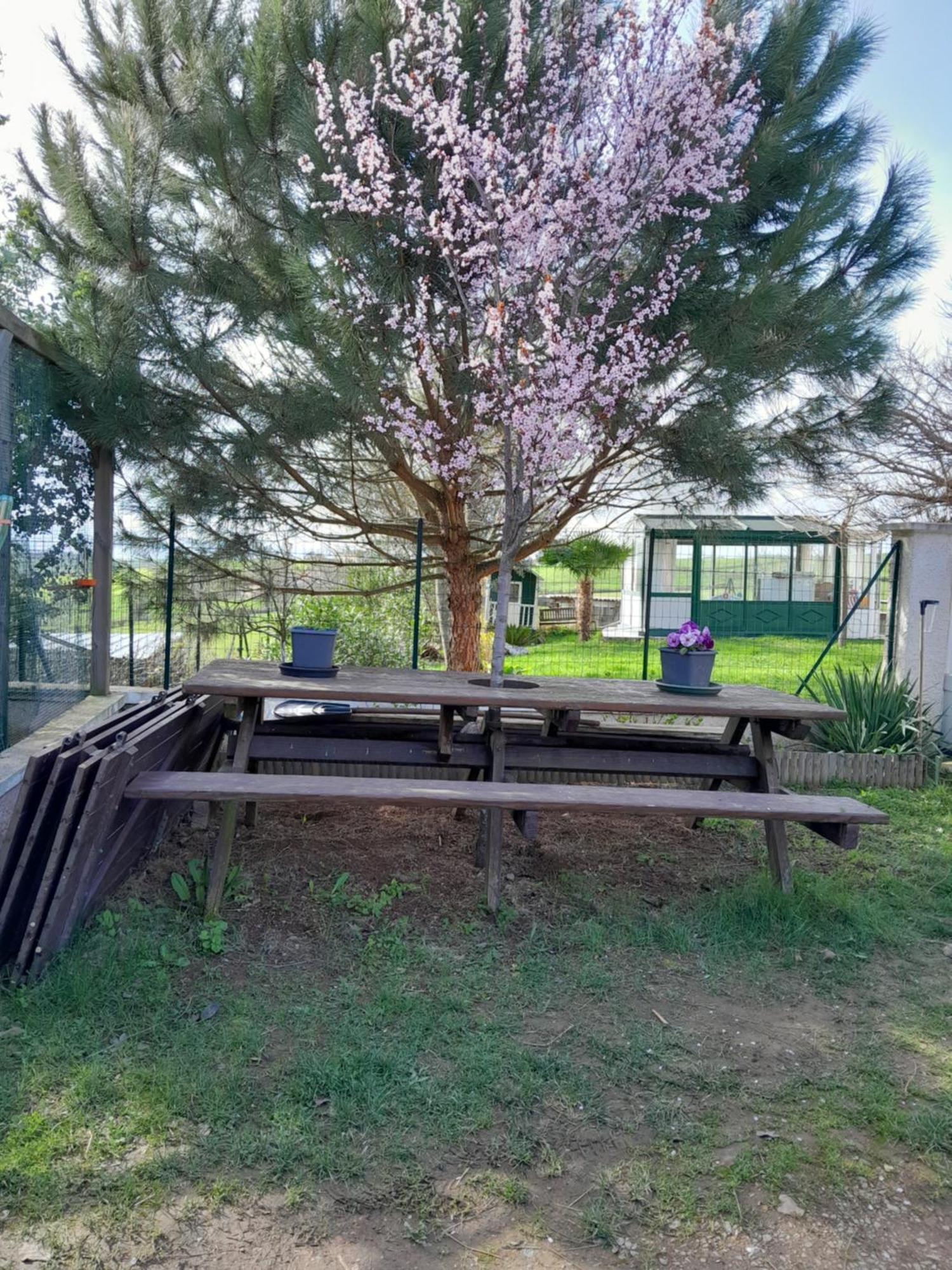 Chambres D Hotes Au P'Tit Bonheur Campagnard Jarnosse Esterno foto